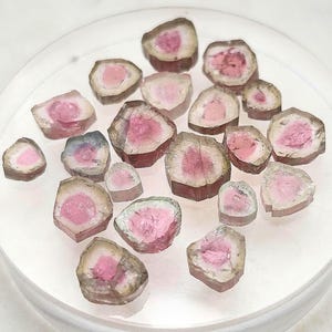 May include: A collection of small, polished watermelon tourmaline slices arranged on a circular surface. Each piece features a vibrant pink centre surrounded by a translucent, light green or colourless outer rim, showcasing natural mineral patterns.
