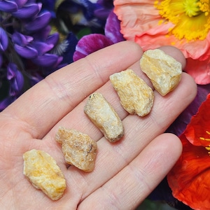 XL Phenacite Crystal - Golden Phenakite - Synergy 12 - Phenakite Crystal - Phenacite Crystal - Phenacite Phenakite - Phenakite Gemstone