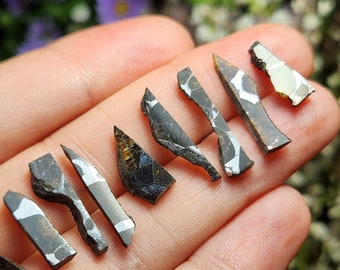 Meteorite Slice / Meteorite / Sericho  / Sericho Meteorite / Meteorite Fragment / Raw Meteorite / Meteor Slice / Pallasite Meteorite