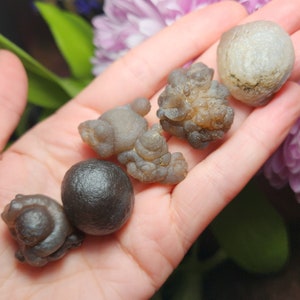 Puede incluir: Una colecci&oacute;n de seis n&oacute;dulos de &aacute;gata grises y marrones, algunos con una superficie lisa y otros con una textura rugosa y nudosa. Los n&oacute;dulos est&aacute;n dispuestos en una mano.