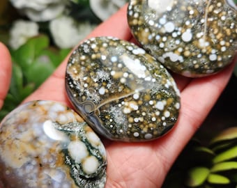 Ocean Jasper Palm Stone - Ocean Jasper - Fossilized Coral - Ocean Jasper Palmstone - Coral Fossil - Ocean Jasper Stone - Ocean Jasper Palm