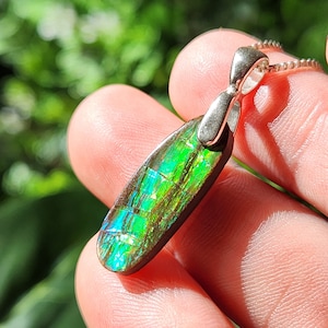 Ammolite Sterling Silver Pendant: Opalized Ammonite Fossil Jewelry