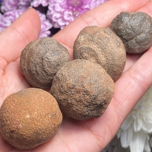 Shaman Stone Talisman - Raw Shaman Stone Specimen - Navajo Cherries - Moki Marbles - Hopi Marbles - Shaman Crystal - Shaman Stones