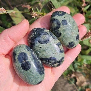 Kambaba Jasper Crystal / Crocodile Rock / Polished Kambaba Jasper / Palm Stone / Kambaba Jasper Stone / Kambaba Jasper / Green Stromatolite