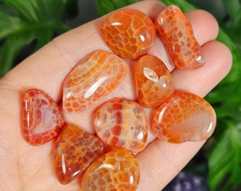 Snakeskin Agate - Tumbled Carnelian - Carnelian Crystal - Polished Carnelian - Carnelian Stone - Natural Carnelian - Red Agate - Red Agate