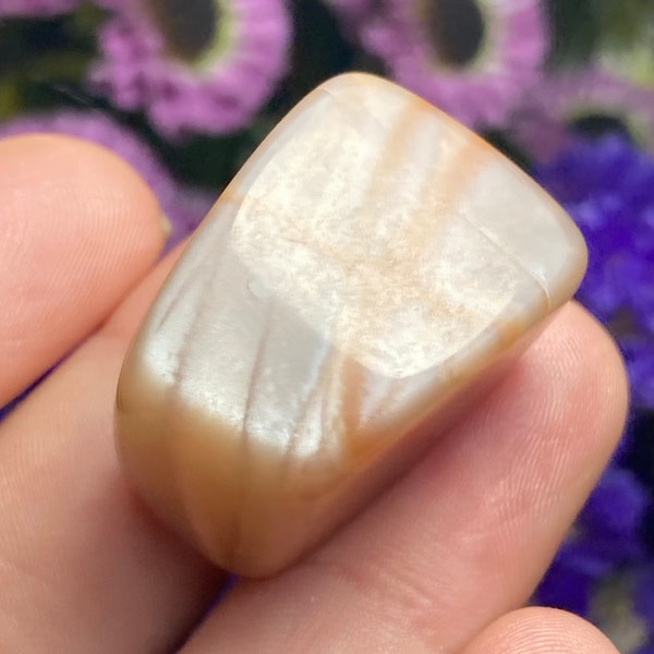 Chocolate Moonstone Crystal / Tumbled Moonstone / Polished Chocolate Moonstone / Moonstone Crystal / Chocolate Moonstone / Brown Moonstone