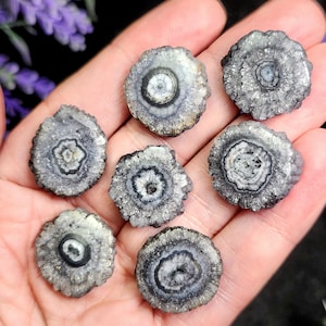 Solar Quartz Stalactite Slices: Single Slice or Pair of Slices, Solar Quartz Crystal, Solar Crystal Slice