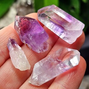 May include: Four amethyst crystal points in varying sizes and shades of purple and clear. The crystals are held in a hand, with a blurred green background. The crystals have a natural, raw appearance, with visible facets and textures.
