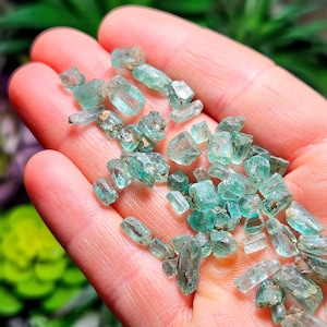 May include: A collection of small, green, faceted emerald crystals. The crystals are various shapes and sizes, and some have a slightly metallic sheen.