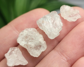 ショール標本上の白雲母を含むゴシェナイト結晶：ナミビア、エロンゴ