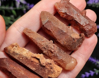 May include: A hand holds several reddish-brown crystal points. The crystals have a rough, textured surface and varying shapes, with some appearing more elongated and others chunkier. The crystals are a mix of light and dark brown hues.