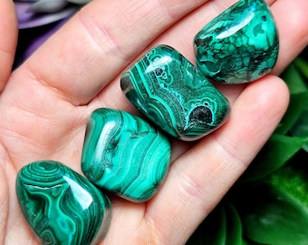 May include: Four polished malachite stones with distinct green banding and swirling patterns. Each stone features a smooth, glossy surface with deep forest green and lighter emerald green color variations, showcasing natural mineral formations.