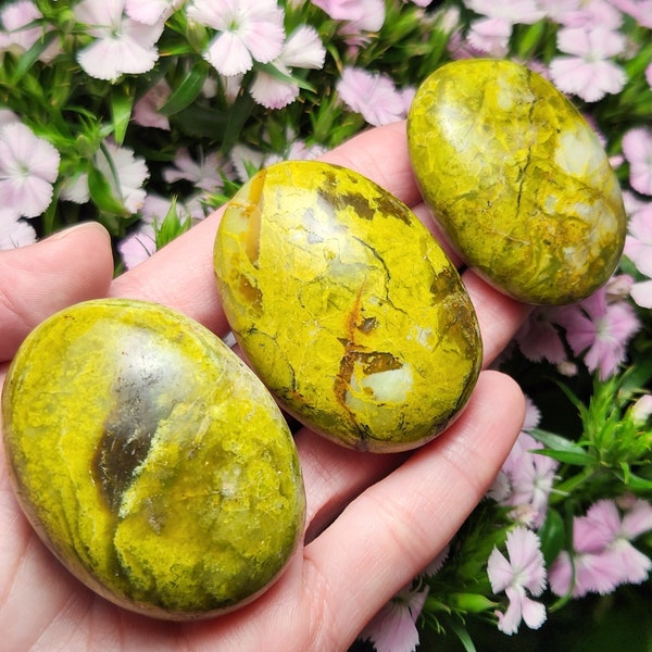 Green Opal / Opal Palm Stone / Madagascar Green Opal / Opal Crystal / Opal Stone / Polished Opal / Green Opal Specimen / Green Opal Crystal