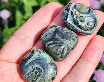 Kambaba Jasper Stone - Crocodile Rock - Kambaba Jasper - Kambaba Jasper Tumble - Kambaba Jasper - Tumbled Kambaba Jasper - Tumbled Jasper