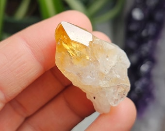 Citrine Crystal - ABUNDANCE Stone - Citrine Stone - Citrine Point - Raw Citrine Crystal - Birthstone - Citrine Gemstone - Terminated Citrine