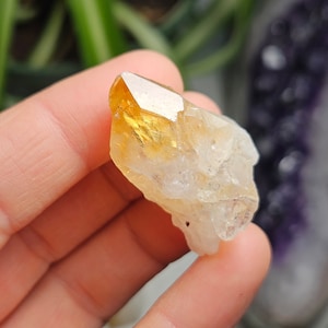 Citrine Crystal - ABUNDANCE Stone - Citrine Stone - Citrine Point - Raw Citrine Crystal - Birthstone - Citrine Gemstone - Terminated Citrine