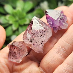 Auralite 23 - Ametista Thunder Bay - Punta di Ametista - Cristallo di Auralite 23 - Cristallo di Ametista - Pietra di Ametista - Ametista Grezza - Thunder Bay