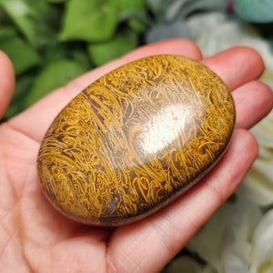 May include: A polished, oval-shaped, brown and gold tiger iron stone with a swirling pattern.
