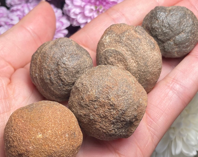 Shaman Stone / Moqui Marble / Raw Shaman Stone Specimen / Navajo