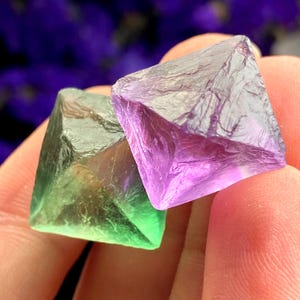 Könnte beinhalten: Zwei Fluorite, einer grün und einer lila, werden gehalten. Die Kristalle haben eine kubische Form mit sichtbaren Facetten und einem durchscheinenden Aussehen. Der Hintergrund ist verschwommen, mit violetten Farbtönen.