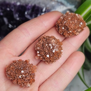 May include: Three brown and white selenite crystal clusters in the shape of a flower. The crystals are arranged in a hand.