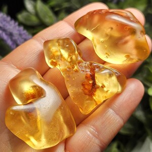 May include: Three polished, translucent amber stones with a golden-yellow hue. Each piece features organic, irregular shapes and smooth surfaces, with visible internal inclusions and warm, honey-colored tones throughout the crystalline structure.