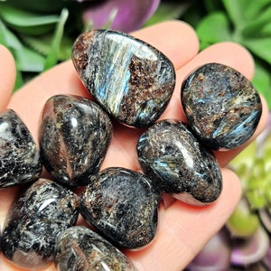 Arfvedsonite Crystal - Arfvedsonite Stone - Arfvedsonite - Arfvedsonite Tumbled Stone - Arfvedsonite Slab - Arfvedsonite Slab - Tumbled