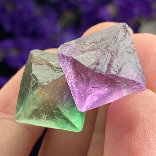 Purple & Green Fluorite Crystals / Set of 2 ~ Fluorite Octahedrons / Green Fluorite / Purple Fluorite / Fluorite Gemstone / Raw Fluorite