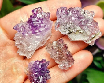 Blume Amethyst Kristall - Indischer Amethyst - Blume Amethyst - Amethyst Blume - Amethyst Stalaktit - Amethyst Scheibe - Amethyst Gruppe