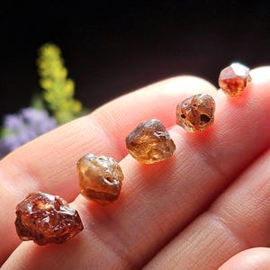 May include: Five raw, uncut gemstones in varying shapes and sizes, ranging in color from light amber to deep reddish-brown. The gemstones are held in a hand, with a dark background.
