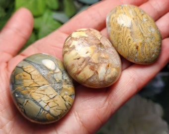 Ibis Jasper - Jasper Palm Stones - Palm Stone - Brecciated Jasper - Jasper Crystal - Jasper Stone - Jasper Specimen - Ibis Jasper Sphere