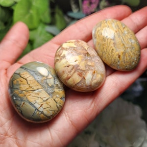 Ibis Jasper Sphere - Etsy