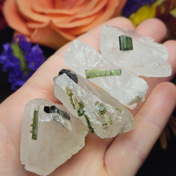 Green Tourmaline in Quartz Crystal / Tourmaline Quartz / Green Tourmaline / Raw Crystal / Natural Tourmaline Stone / Tourmaline Gemstone