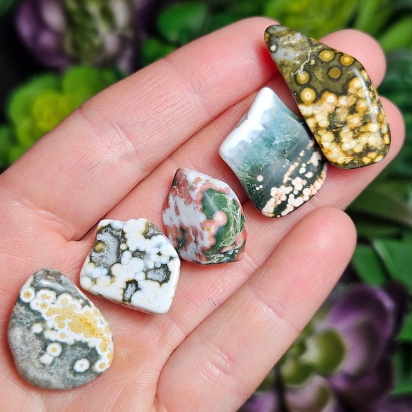 Ocean Jasper Tumble / Ocean Jasper Crystal / Fossilized Coral / Ocean Jasper Stone / Polished Ocean Jasper / Tumbled Ocean Jasper / Jasper