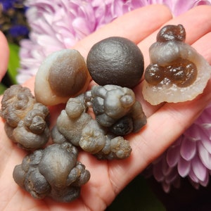 Puede incluir: Una colecci&oacute;n de siete n&oacute;dulos de &aacute;gata grises y marrones, algunos con una superficie lisa y otros con una textura nudosa. Los n&oacute;dulos est&aacute;n dispuestos en una mano, con una flor rosa en el fondo.