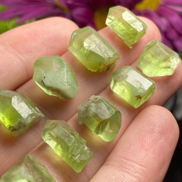 Terminated Peridot Crystal / Raw Peridot / Green Peridot Stone / Peridot Gemstone / Rough Peridot / August Birthstone / Natural Peridot