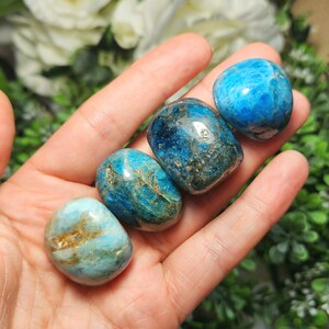 May include: Four polished, oval-shaped gemstones in shades of blue and teal are held in a hand. The stones have a smooth, glossy texture with variations in color and some with gold-colored inclusions. The background is blurred with greenery.