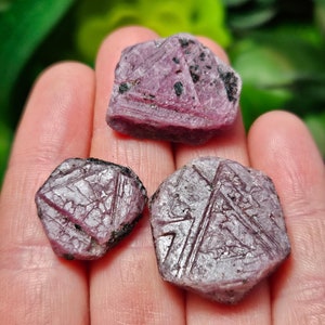 May include: Three pink ruby crystals with a rough, faceted texture. The crystals are on a hand, and they are all different shapes and sizes.