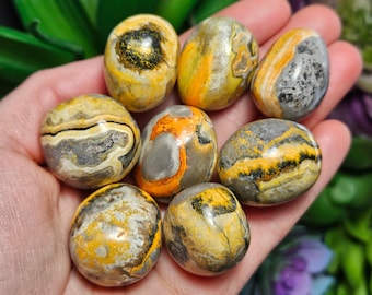 Bumblebee Jasper Crystal / Tumbled Bumblebee Jasper / Bumble Bee Jasper / Polished Bumblebee Jasper / Bumble Bee Jasper Stone / Jasper