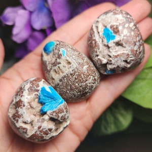 Blue Cavansite Crystal Specimen: Polished Cavansite in Matrix