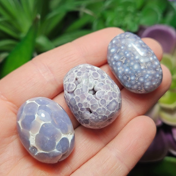 AA Grape Agate Tumble / Purple Grape Agate / Polished Agate / Grape Agate / Grape Agate Sphere / Grape Agate Specimen / Grape Chalcedony