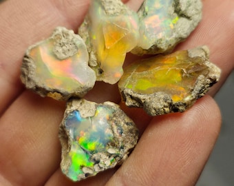 May include: A collection of five rough opal stones with a variety of colors, including green, yellow, orange, and iridescent rainbow hues. The stones are set in a rough, natural matrix.