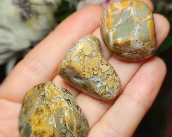 Ibis Jasper Crystal - Polished Ibis Jasper - Ibis Jasper Palm Stone - Brecciated Jasper - Ibis Jasper Stone - Jasper Stone - Jasper Specimen