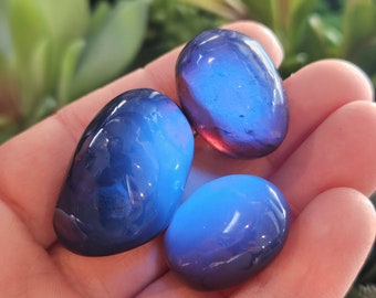 Ejemplar de ámbar azul: piedra pulida reactiva a los rayos UV, ámbar pulido