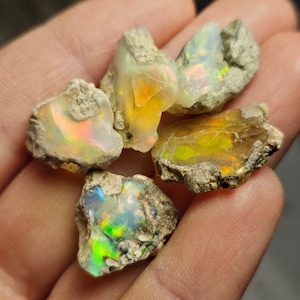 May include: A collection of five rough opal stones with a variety of colors, including green, yellow, orange, and iridescent rainbow hues. The stones are set in a rough, natural matrix.
