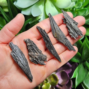 May include: Five black, raw, and unpolished pieces of black kyanite crystal. The crystals are in various shapes and sizes, and they are all pointed at one end.
