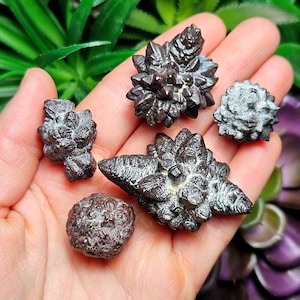 May include: Five dark gray, crystal-like formations with a starburst shape. The crystals are arranged on a hand.