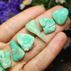 Chrysoprase Crystal / Polished Chrysoprase / Tumbled Chrysoprase / Natural Chrysoprase Stone / Green Chrysoprase / Tumbled Stones