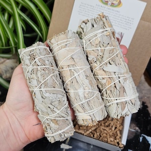 White Sage Smudge Stick Bundle - 4&quot; Cleansing Incense