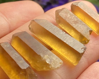 May include: Five small, clear, golden-brown quartz crystal points. The points are arranged in a row, with the largest point at the top and the smallest point at the bottom.